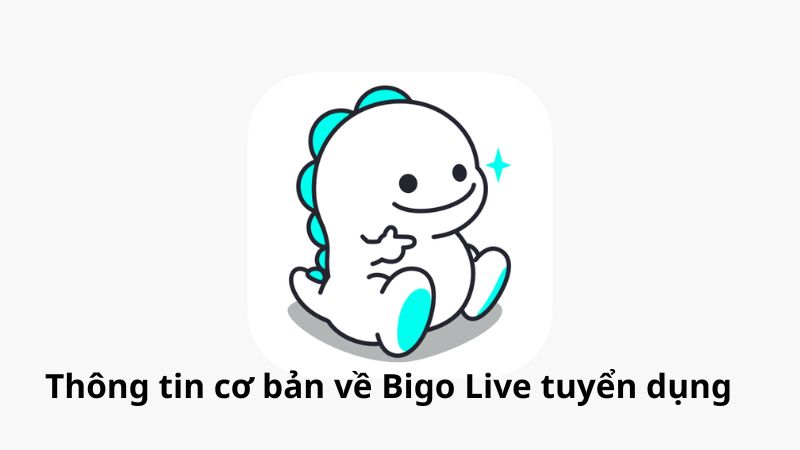 Thông tin cơ bản về Bigo Live tuyển dụng